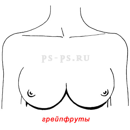 Грейпфрукты. Формы женской груди.  Фото