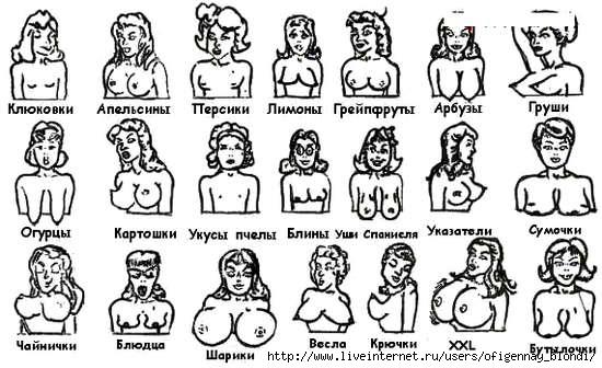 Формы женской груди.  Фото